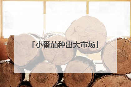 小番茄种出大市场