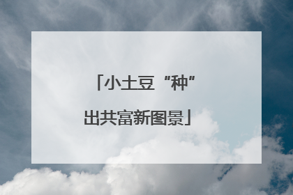 小土豆“种”出共富新图景