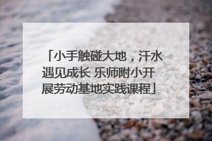 小手触碰大地，汗水遇见成长 乐师附小开展劳动基地实践课程