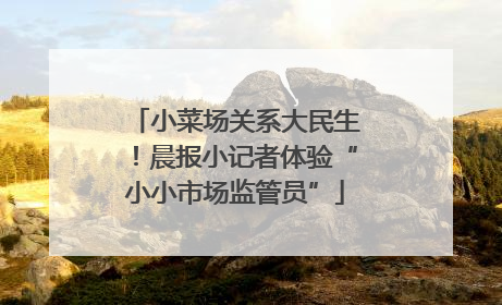 小菜场关系大民生！晨报小记者体验“小小市场监管员”