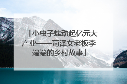 小虫子蠕动起亿元大产业——菏泽女老板李端端的乡村故事
