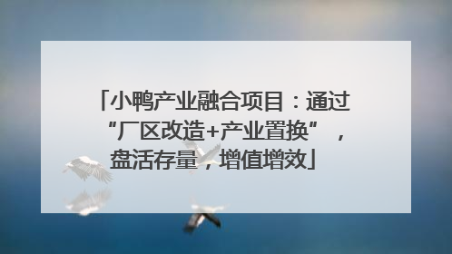 小鸭产业融合项目：通过“厂区改造+产业置换”，盘活存量，增值增效