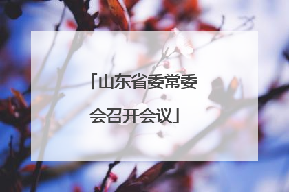 山东省委常委会召开会议