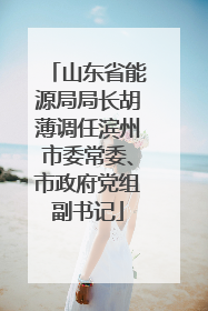 山东省能源局局长胡薄调任滨州市委常委、市政府党组副书记