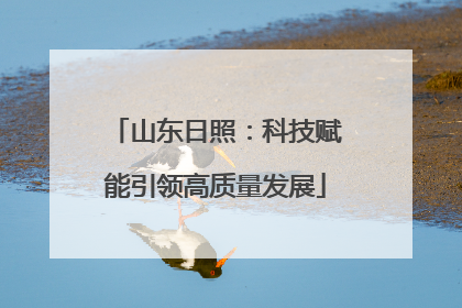 山东日照：科技赋能引领高质量发展