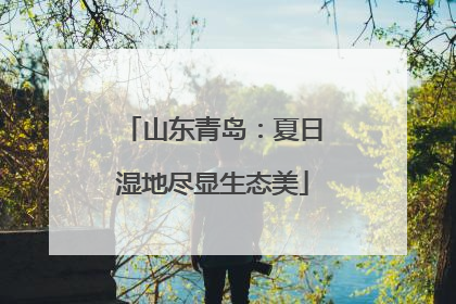 山东青岛：夏日湿地尽显生态美