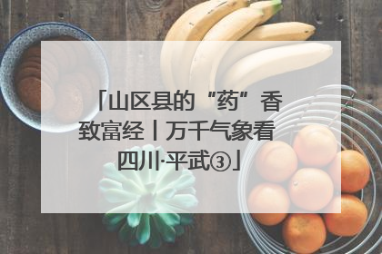 山区县的“药”香致富经丨万千气象看四川·平武③