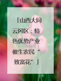 山西大同云冈区：特色优势产业催生农民“致富花”