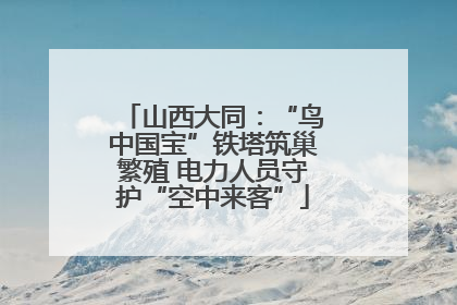 山西大同：“鸟中国宝”铁塔筑巢繁殖 电力人员守护“空中来客”