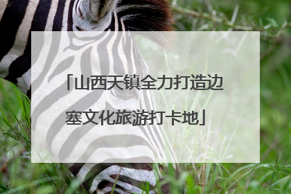 山西天镇全力打造边塞文化旅游打卡地