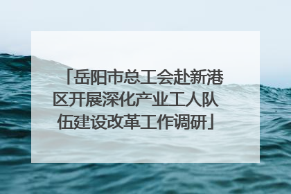 岳阳市总工会赴新港区开展深化产业工人队伍建设改革工作调研