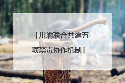 川渝联合共建五项禁毒协作机制