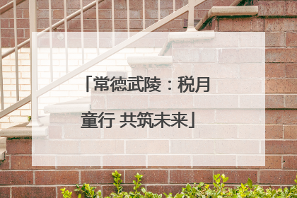 常德武陵：税月童行 共筑未来