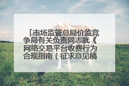 市场监管总局价监竞争局有关负责同志就《网络交易平台收费行为合规指南（征求意见稿）》答记者问