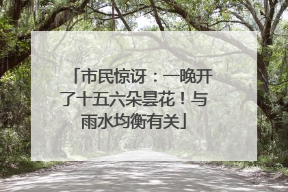 市民惊讶：一晚开了十五六朵昙花！与雨水均衡有关