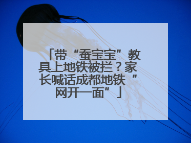 带“蚕宝宝”教具上地铁被拦？家长喊话成都地铁“网开一面”