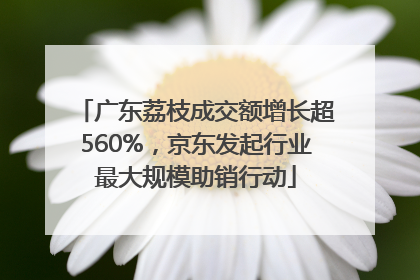 广东荔枝成交额增长超560%，京东发起行业最大规模助销行动