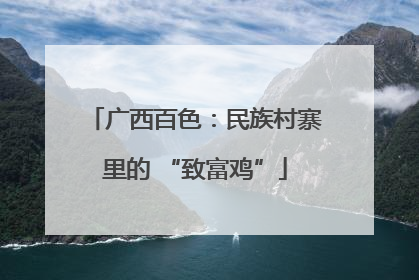 广西百色：民族村寨里的 “致富鸡”