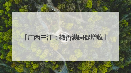 广西三江：椒香满园促增收