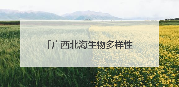 广西北海生物多样性保护成效明显 红树林面积居广西首位
