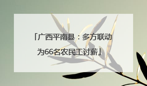 广西平南县：多方联动为66名农民工讨薪
