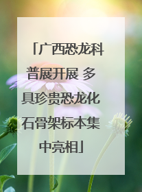 广西恐龙科普展开展 多具珍贵恐龙化石骨架标本集中亮相