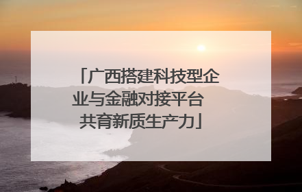 广西搭建科技型企业与金融对接平台 共育新质生产力