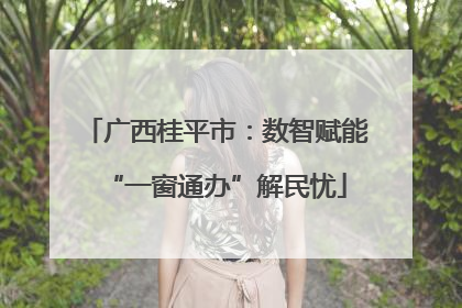 广西桂平市：数智赋能“一窗通办”解民忧