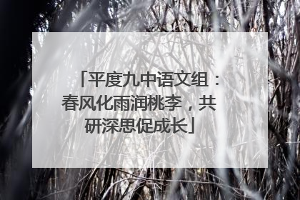 平度九中语文组：春风化雨润桃李，共研深思促成长
