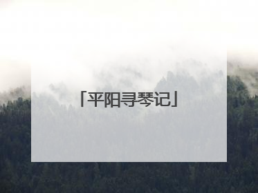 平阳寻琴记