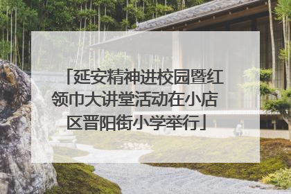 延安精神进校园暨红领巾大讲堂活动在小店区晋阳街小学举行