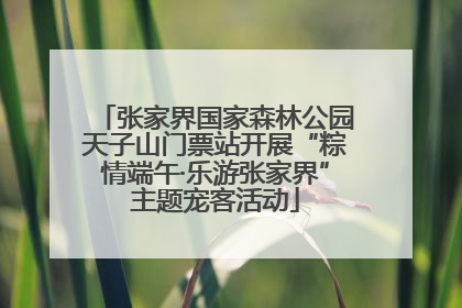 张家界国家森林公园天子山门票站开展“粽情端午·乐游张家界”主题宠客活动