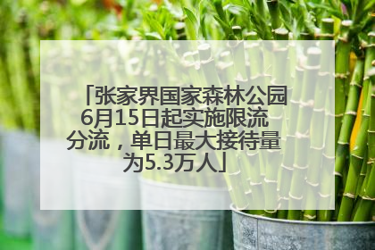 张家界国家森林公园6月15日起实施限流分流，单日最大接待量为5.3万人