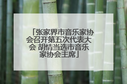 张家界市音乐家协会召开第五次代表大会 胡情当选市音乐家协会主席
