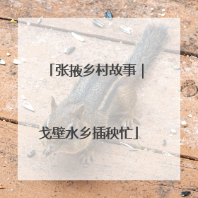 张掖乡村故事｜戈壁水乡插秧忙