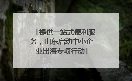 提供一站式便利服务，山东启动中小企业出海专项行动