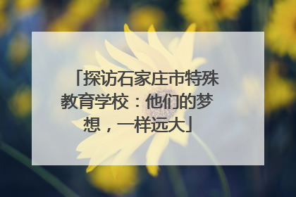 探访石家庄市特殊教育学校：他们的梦想，一样远大