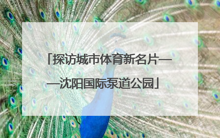 探访城市体育新名片——沈阳国际泵道公园
