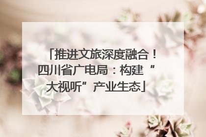 推进文旅深度融合！四川省广电局：构建“大视听”产业生态