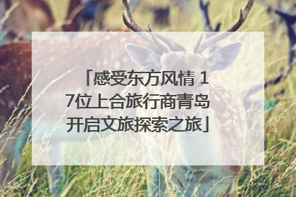 感受东方风情 17位上合旅行商青岛开启文旅探索之旅