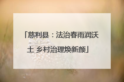 慈利县：法治春雨润沃土 乡村治理焕新颜
