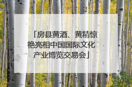 房县黄酒、黄精惊艳亮相中国国际文化产业博览交易会