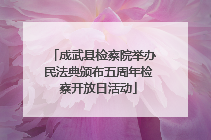 成武县检察院举办民法典颁布五周年检察开放日活动