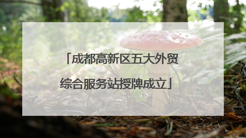 成都高新区五大外贸综合服务站授牌成立