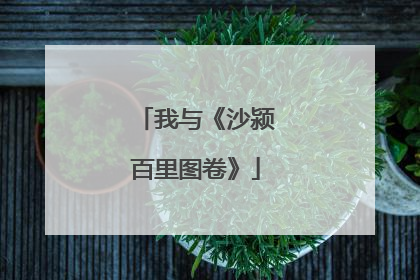 我与《沙颍百里图卷》