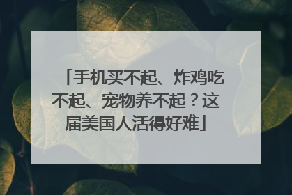 手机买不起、炸鸡吃不起、宠物养不起？这届美国人活得好难