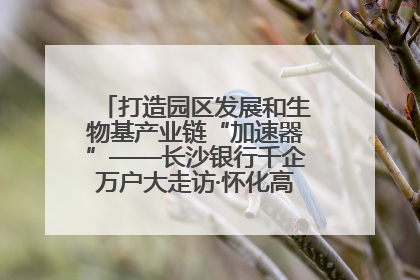 打造园区发展和生物基产业链“加速器”——长沙银行千企万户大走访·怀化高新区、生物基产业链专场活动举行