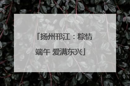 扬州邗江：粽情端午 爱满东兴