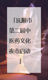 抚顺市第二届中医药文化夜市启动