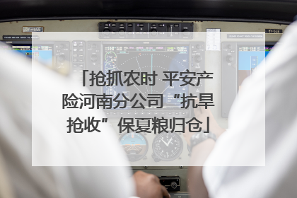 抢抓农时 平安产险河南分公司“抗旱抢收”保夏粮归仓